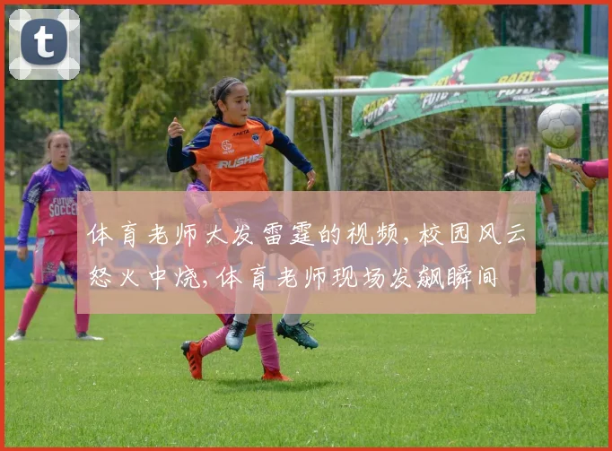 体育老师大发雷霆的视频,校园风云怒火中烧,体育老师现场发飙瞬间