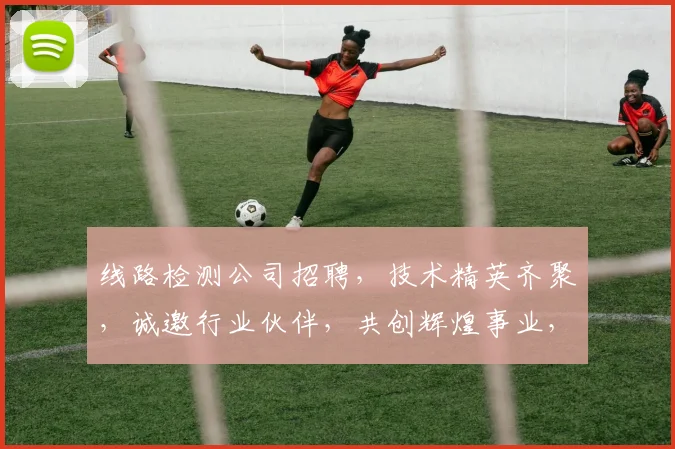 线路检测公司招聘，技术精英齐聚，诚邀行业伙伴，共创辉煌事业，欢迎加入我们