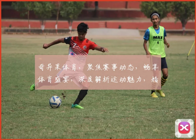 奇异果体育，聚焦赛事动态，畅享体育盛宴，深度解析运动魅力，精彩不容错过