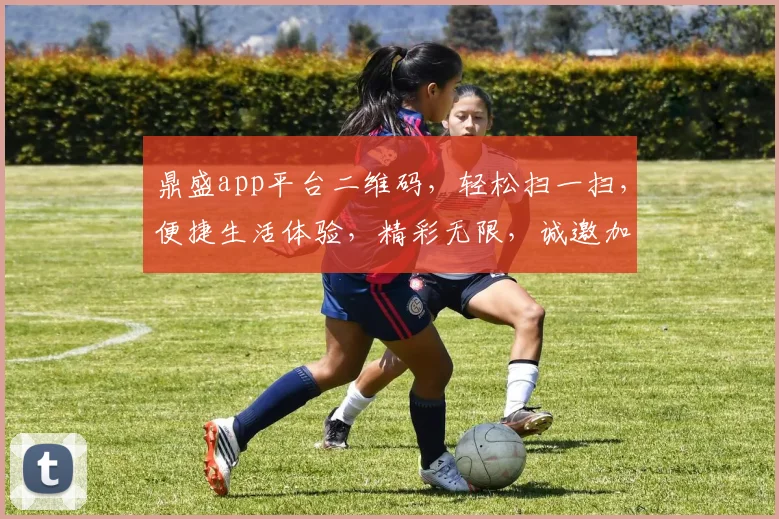 鼎盛app平台二维码，轻松扫一扫，便捷生活体验，精彩无限，诚邀加入